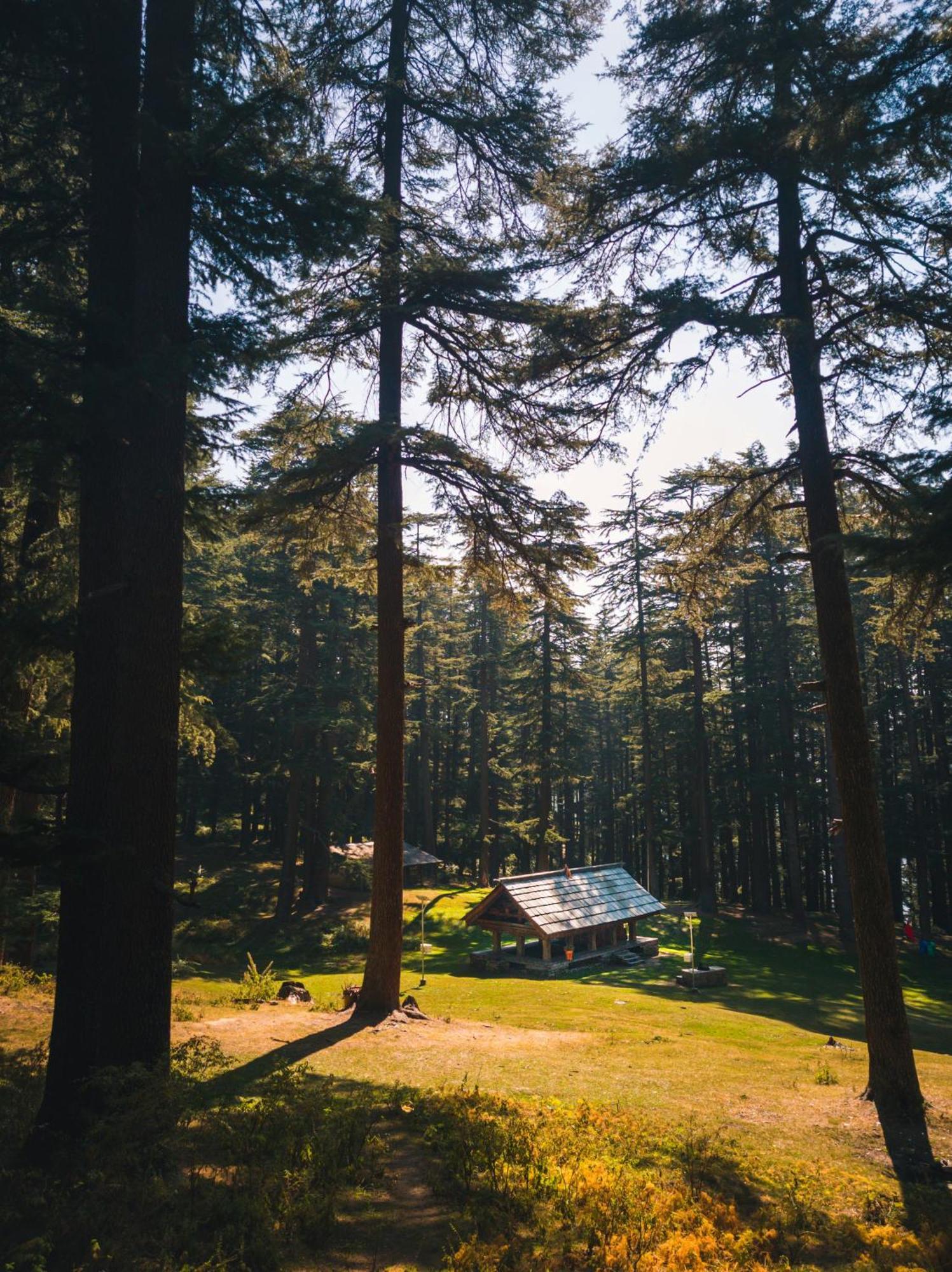 Hostel 360 Degree, Jibhi Luaran gambar
